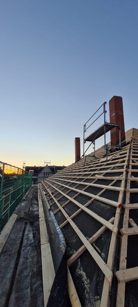 Dach-eingelattet Dach Eingelattet 461x1024