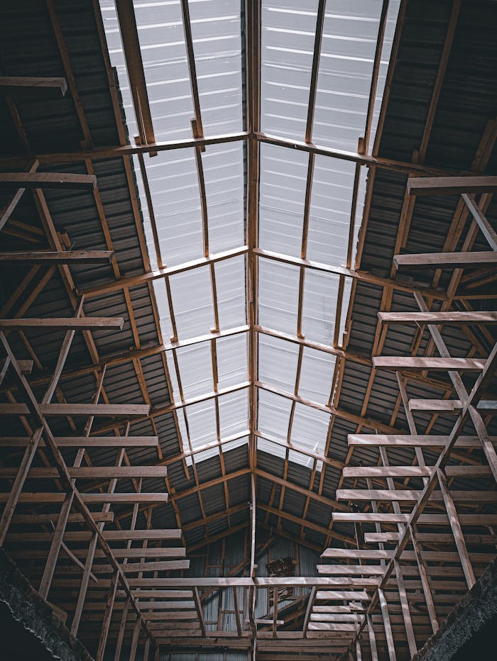 Home Viewing the intricate wooden framework supporting a warehouse ceiling.